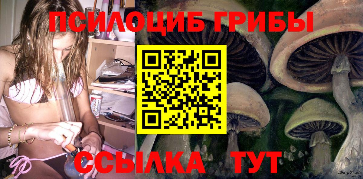 Шахты  где найти   Вход с VPN  Галлюциногенные грибы Cubensis 